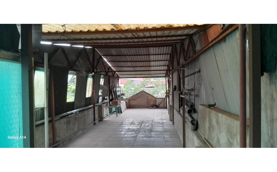 CHO THUÊ MBKD HOA QUẢ NHẬP KHẨU, SIÊU THỊ PHỐ 8/3 KIM NGƯU, HAI BÀ TRƯNG